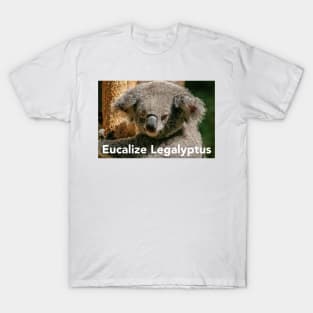 Stoned Koala T-Shirt